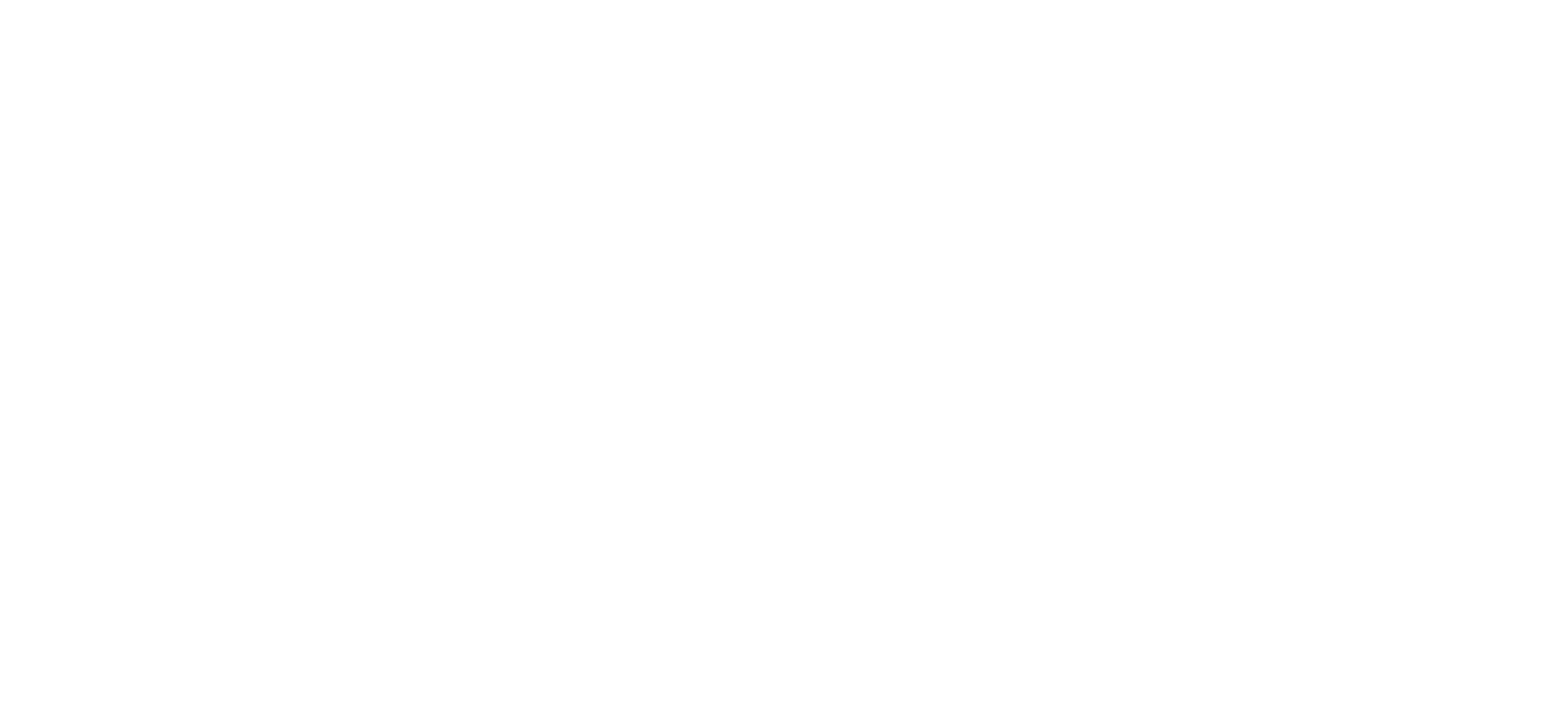 logo BAM